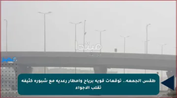 طقس الجمعة.. توقعات قوية برياح وأمطار رعدية مع شبورة كثيفة تقلب الأجواء